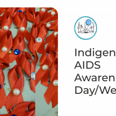 December 1 Indigenous AIDS Awareness Day/Week